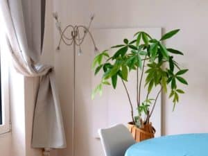 chauffage infrarouge freedam deco